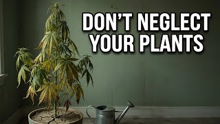 Why You Shouldn’t Neglect Your Plants! Day 42 Update/ With A Little Rambling