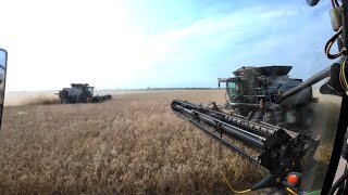 Oh Happy Harvest Days