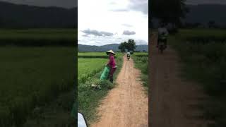 Michael Kirik’s - Vietnam Motorcyclin 2017
