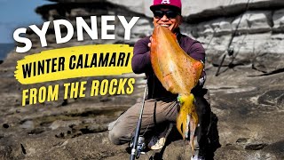 Sydney Winter Calamari - From the Rocks