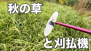 秋の草と刈払機