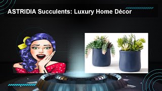 ASTRIDIA Succulents: Luxury Home Décor