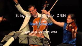 Chamber Music | OC: All Strings Attached