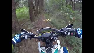 bush to beach imbil ride 13.7.24 part 7