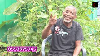 Understanding and Treating Low Sperm Count Naturally