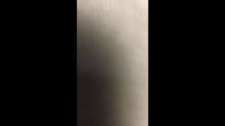 Phoenix High School Oregon Fight Song