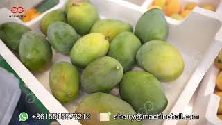 Mango Washing Peeling and Cutting Machine