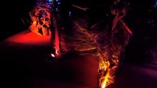 Odyssee 2016 - Chillaround - Te Văd ***