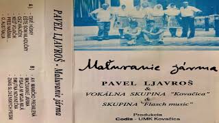 PAVEL LAVROŠ - DIVÉ HÚSKY
