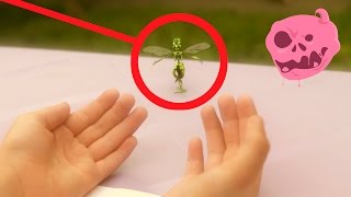 A Real Fairy Found  : a comedy sketch