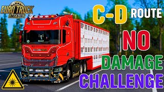 I drove on the Calais-Duisburg Highway without damage in TruckersMP.