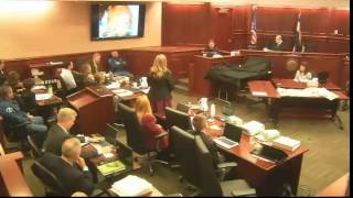 James Holmes Trial. Day 8. Part 3