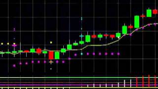 NetPicks Live Signal Service
