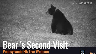 PA Elk Live Webcam - Bear visits field again 10/14/25