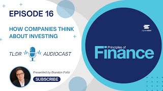 TL;DR 🔊 Finance: Episode 16, How Companies Think About Investing Using Basic Excel