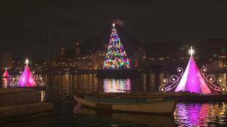 【4K HDR】カラー・オブ・クリスマス - アフターグロウ 〜 Christmas Family ツリー消灯【BMPCC 6K】