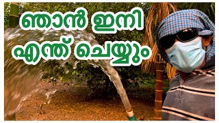 സ്വന്തം പറമ്പിൽ കേറാൻ പറ്റാത്ത എന്റെ അവസ്ഥ | A DAY IN MY LIFE @LittleKingdomOfJoe24 