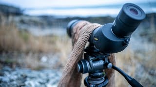 Location scouting for wildlife photography : A relaxing afternoon birdwatching on the coast!