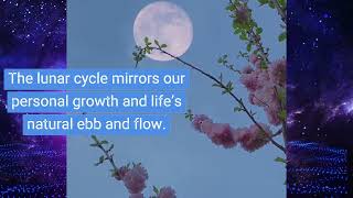 Embracing the Lunar Flow