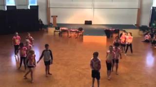 Stanmore bay primary school - fireball 2015