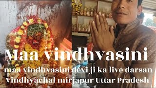 maa vindhvasini ji ka live darsan// #mavindhvasini #shortvideo  #bagheli #viral#aroks7117