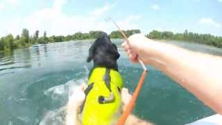 Doggy Trolling motor