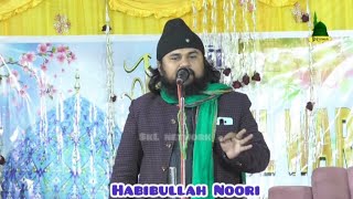 Habibullah Noori ~ Ushe Malik Garibi mein Bhi Taiba Vej Deta Hai
