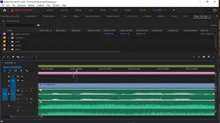 Adobe Premiere Pro 2020   Edit Audio by diving in really deep to remove imperfections