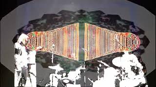 JT Bates, Sean Carey, Liz Draper, and Jeremy Ylvisaker as Circuit City live at Icehouse May 22, 2023