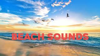Beach Sounds New 2021