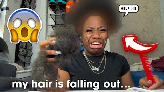 My hair is falling out… I lied to you 😢😱