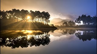 Piano music | Deep Sleep | antistress | music to relieve anxiety | yoga | mystical forest view