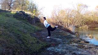 Topic: Video Demonstration Wudang Qigong