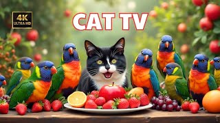 Cat TV:  Beautiful Birds, Squirrels, Relax Your Pets 🌸🐿️ Cat Games 4K HDR 60FPS