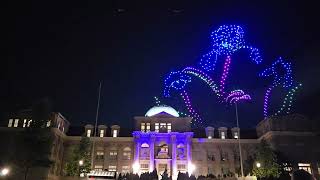 Van Gogh's Starry Nights Drone Show at the New York Botanical Garden