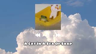 nobonoko - A Cat In A Sea Of Soap