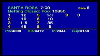 Arima Race Club - Live Stream