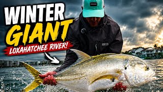 Winter Fishing the Loxahatchee River! (Big Fish Surprise)