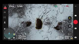 snowy morning in Marlboro NJ. I found Deer too!