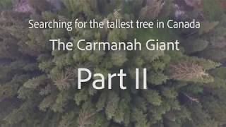 Searching for the tallest tree in Canada Part 2