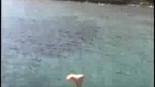 THE TEXAS CHAINSAW MASSACRE IN TURKEY