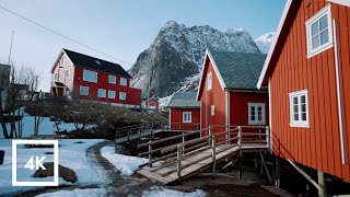 Windy Walk in Reine, Lofoten, Norway 4k Binaural Audio