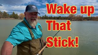 Shake up your Spey Cast