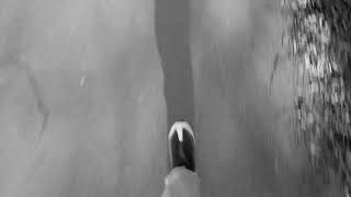 Morph Stereo - Copenhagen clips video