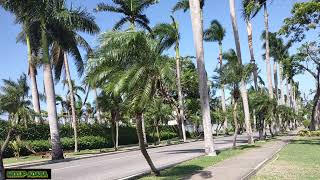 PLANKA MONEY GIVING CURLY A MELTDOWN 