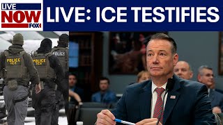 FULL: Trump's immigration chiefs testify before Congress