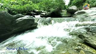 Stream flowing in the Forest. Mountain Stream Nature Sounds for Sleep and Relaxation.