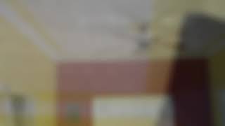 Sample D House Ceiling Pattern Work