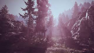 Forest Sounds ASMR