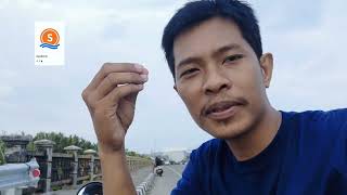 Cara mengubah hasil pemilu jadi saldo Seabank ? pemula wajib tau #ninja4111 #uamtv #Ninjatv